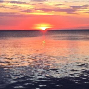 Meet your Posher, Marlon